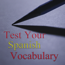 Test Your Spanish Vocabulary APK