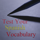 Test Your Spanish Vocabulary icône