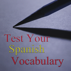 Test Your Spanish Vocabulary icono