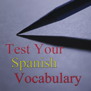 APK Test Your Spanish Vocabulary