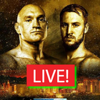 Stream Tyson fury vs Otto wallin Live Stream icône