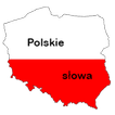 Польский словарь