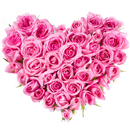 Flower Stickers For WhatsApp APK