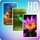 Wallpaper HD – Beautiful Backgrounds & Themes ikona