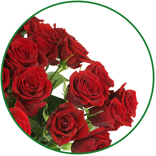 Flowers Live Wallpaper