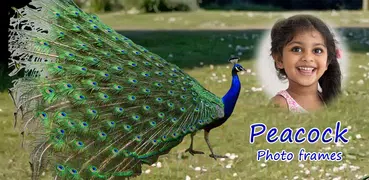 Peacock Photo Frames HD