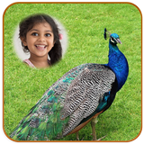 Peacock Photo Frames icono