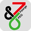 PG WiFi ícone