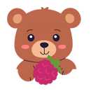 Pi Camera APK