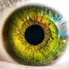Eyes- Health, Foods and Precautions simgesi