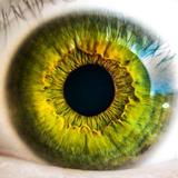 Eyes- Health, Foods and Precautions-icoon