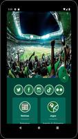 Informa Palmeiras 截圖 2