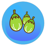 Udupi Mattu Gulla - A Tasty Brinjal