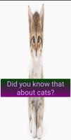 interesting facts تصوير الشاشة 1