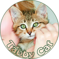 Tabby Cat
