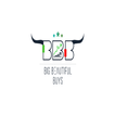 Big Beautiful Buys icon