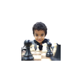 LearnChess Pro
