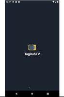 TagDubTV 海報