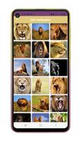Lion Wallpapers تصوير الشاشة 3