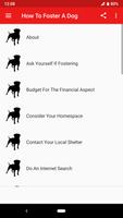 How To Foster A Dog screenshot 1