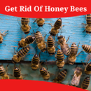 How To Get Rid Of Honey Bees APK