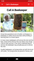 How To Get Rid Of Honey Bees screenshot 2