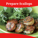 How To Prepare Scallops APK