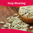 How To Stop Bloating APK