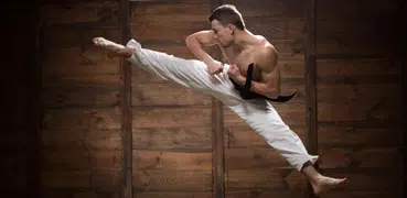 Taekwondo : Artes Marciales