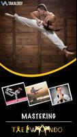Taekwondo - Kampfkunst Plakat