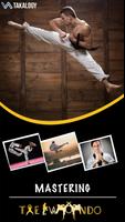 Mastering Taekwondo poster