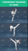 Mastering Taekwondo ภาพหน้าจอ 1