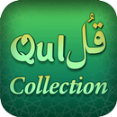 Ayat-e-Qul APK