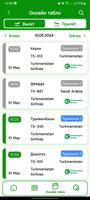 Ashgabat Airport スクリーンショット 1