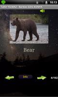 WORLD OF ANIMALS اسکرین شاٹ 2
