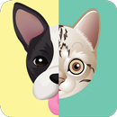 เกมส์ทายหมาแมว APK