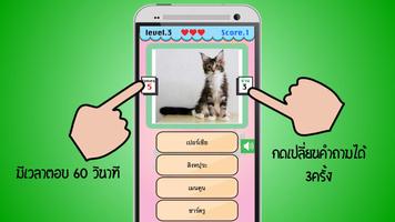 เกมส์ทายหมาแมว screenshot 3