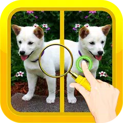 Find Spot The Difference #20 APK download