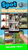 Find Spot The Difference #20 poster