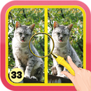 найди отличия #33 APK