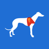 Taigan APK