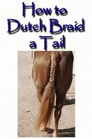 Dutch Braid a Horse Tail पोस्टर