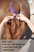 Dutch Braid a Horse Tail スクリーンショット 1