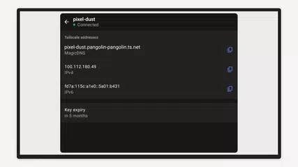 Tailscale XAPK download
