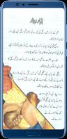 Urdu Stories ภาพหน้าจอ 2