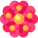 Talebe Takip Programı