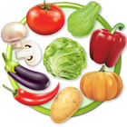 Vegetable Names icon