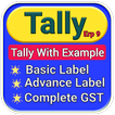Tally Course in Hindi || Tally With GST