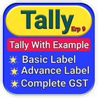 Tally Course icône