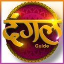 Dangal TV Live Serials Guide APK